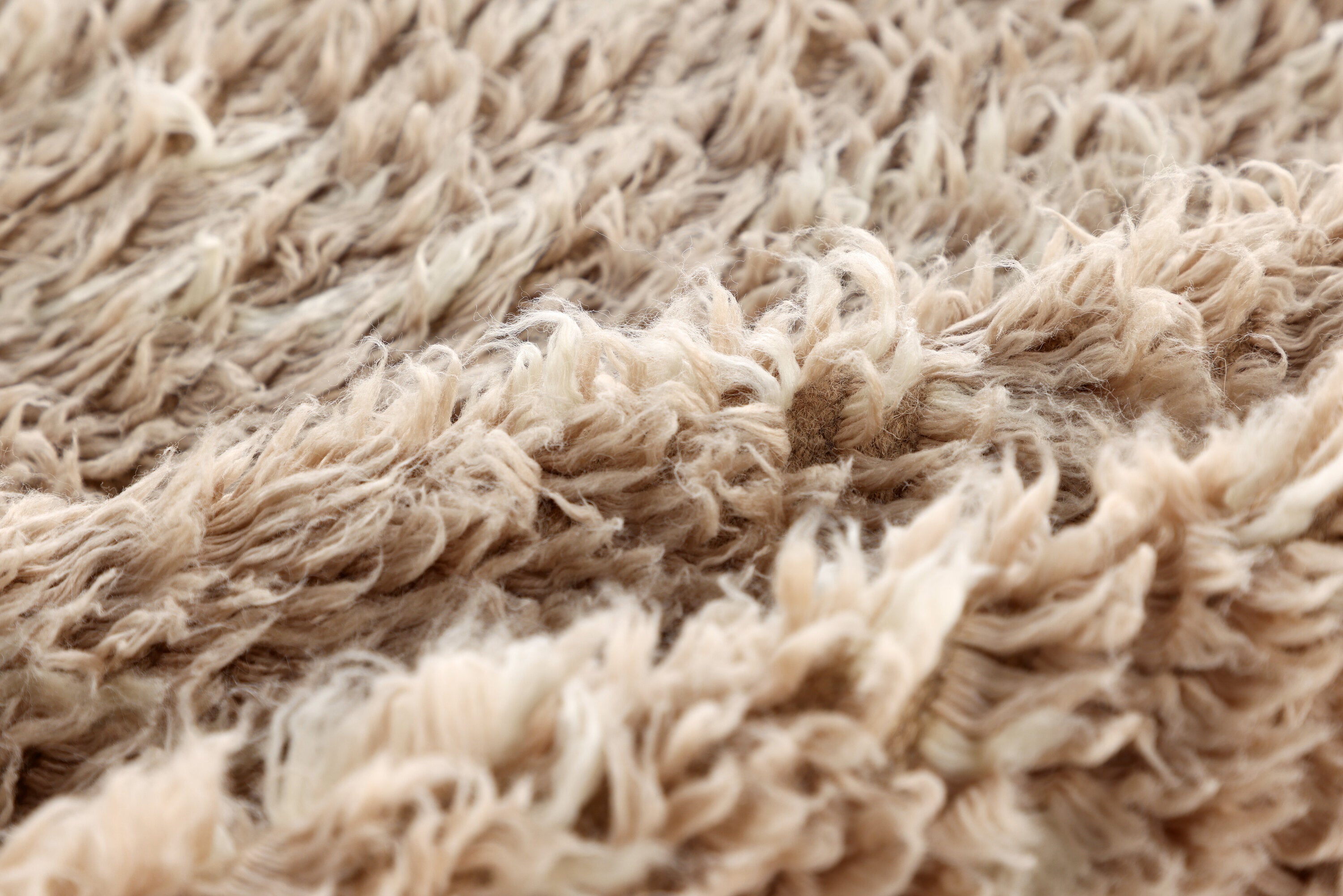 Leiko Rektangulära Mattor 300 x 200 Beige